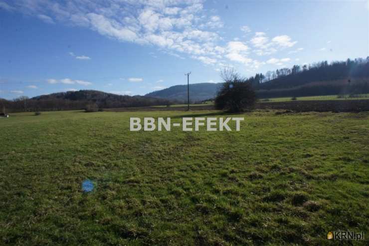 Działki  na sprzedaż, Cisownica, ul. , 