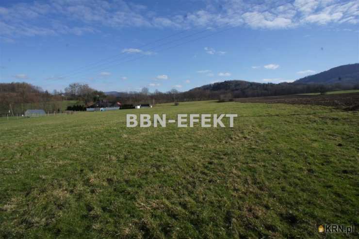 , Działki  na sprzedaż, Cisownica, ul. 