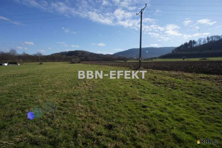 Bielskie Biuro Nieruchomości EFEKT- Krzysztof Filipek , Działki  na sprzedaż, Cisownica, ul. 