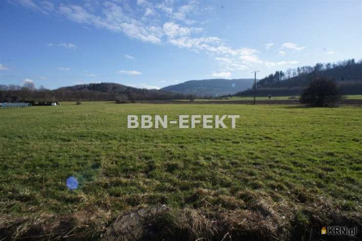 Działki  na sprzedaż, Cisownica, ul. , 