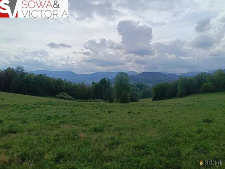 Działki  na sprzedaż, Głębock, ul. , 