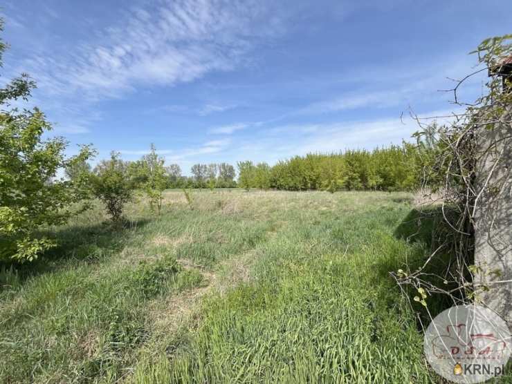 Działki  na sprzedaż, , Głuchowo, ul. 