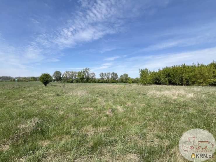 Głuchowo, ul. , , Działki  na sprzedaż