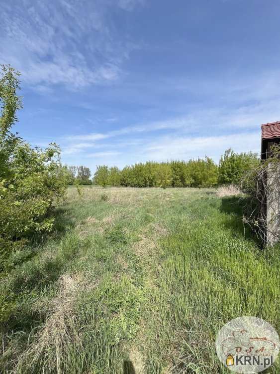 , Działki  na sprzedaż, Głuchowo, ul. 