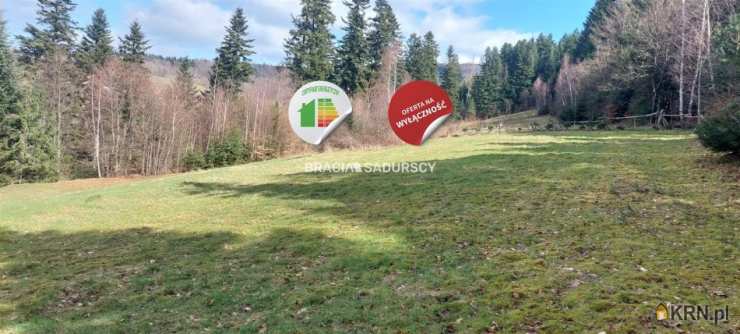 Działki  na sprzedaż, Borzęta, ul. , 