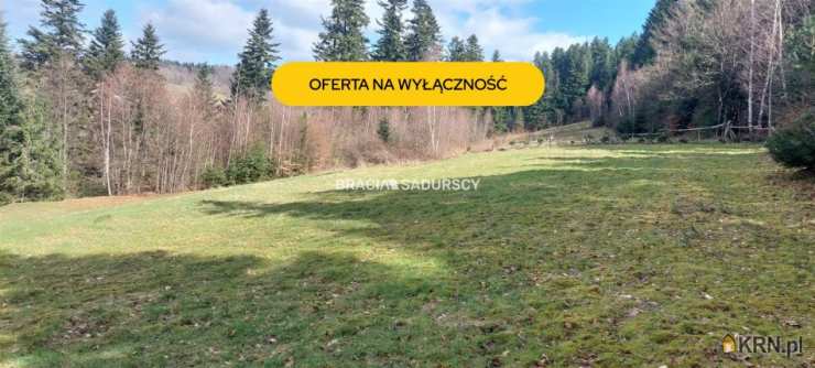 Działki  na sprzedaż, Borzęta, ul. , 