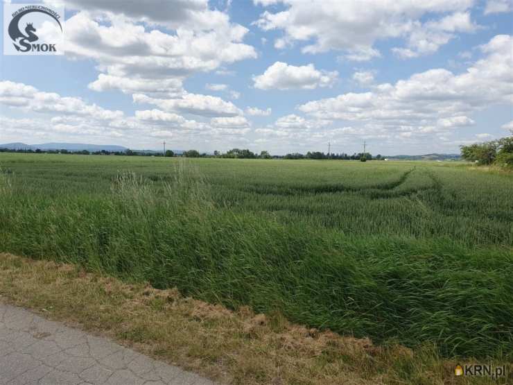 Działki  na sprzedaż, , Pierzchów, ul. 