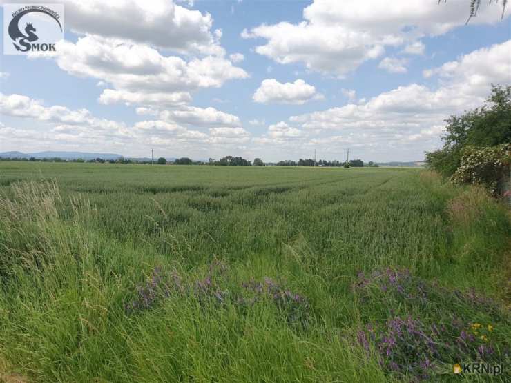 Pierzchów, ul. , Działki  na sprzedaż, 