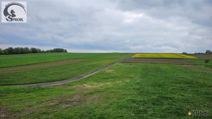 Działki  na sprzedaż, Wielmoża, ul. , 