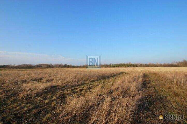 Działki  na sprzedaż, , Pyskowice, ul. 