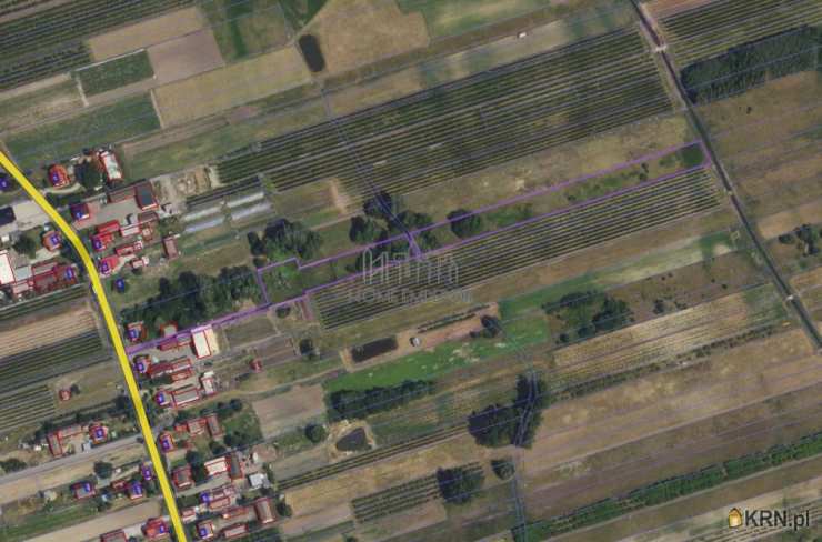 Stary Zambrzyków, ul. , Działki  na sprzedaż, 