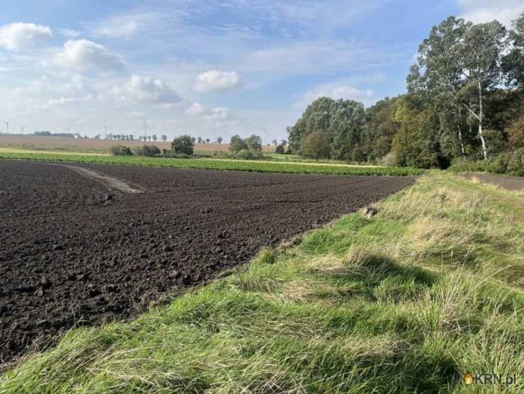 Działki  na sprzedaż, Krusza Zamkowa, ul. , 