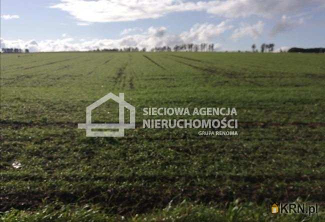 Działki  na sprzedaż, Białogarda, ul. , 