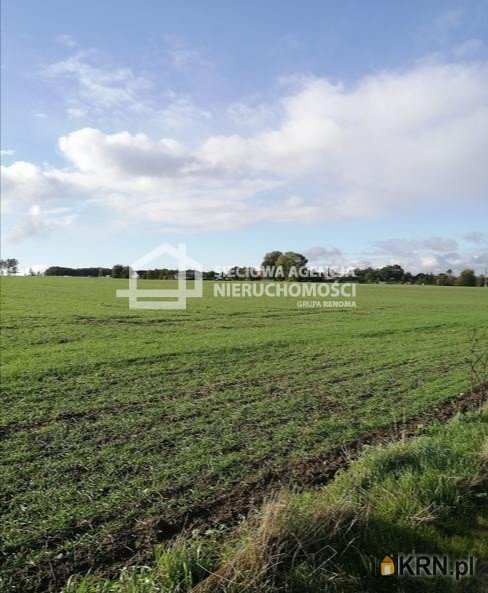 Białogarda, ul. , , Działki  na sprzedaż