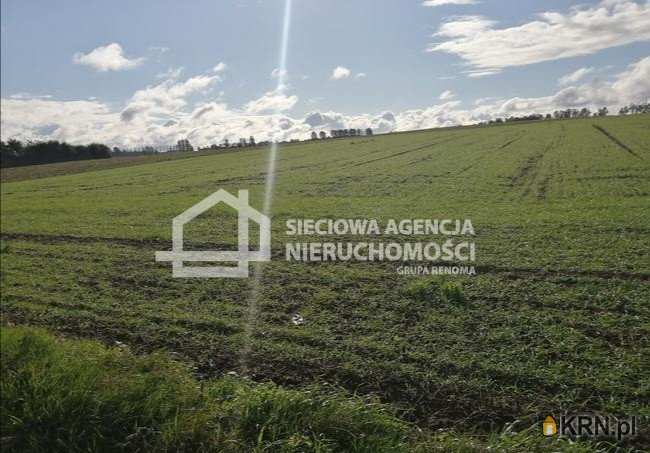 , Działki  na sprzedaż, Białogarda, ul. 