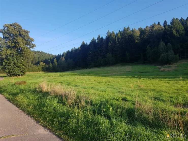 Działki  na sprzedaż, Grzędy, ul. , 