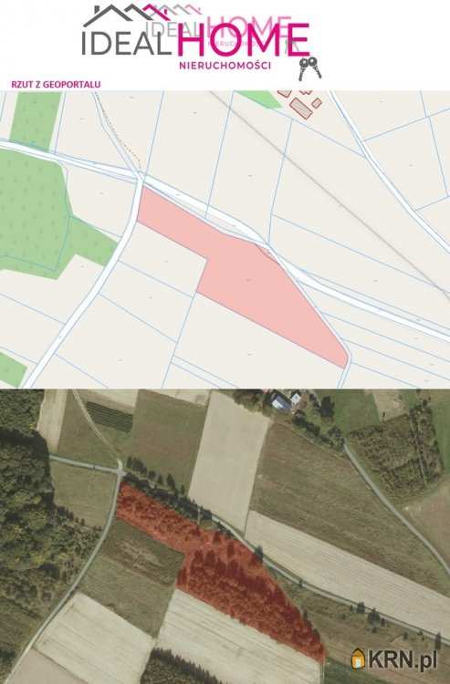 , Zaborów, ul. , Działki  na sprzedaż