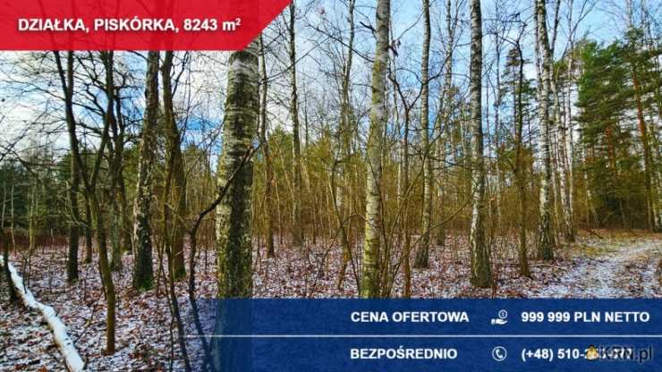 , Działki  na sprzedaż, Piskórka, ul. Jagodowa