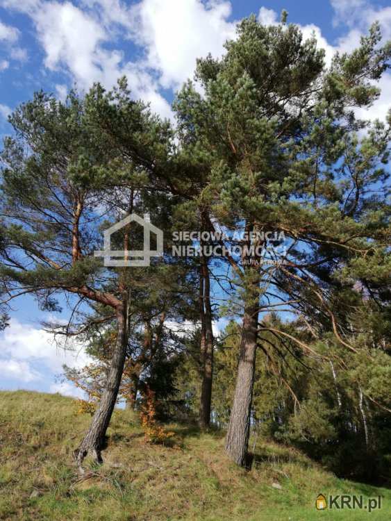 Chmielno, ul. , Działki  na sprzedaż, 