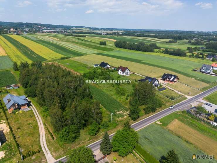 Działki  na sprzedaż, Cholerzyn, ul. , 