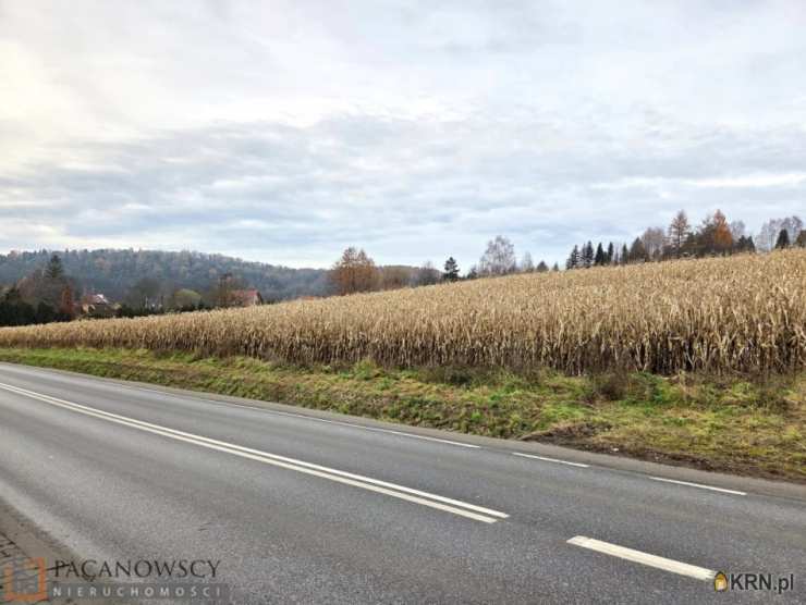 Działki  na sprzedaż, Januszowice, ul. , 