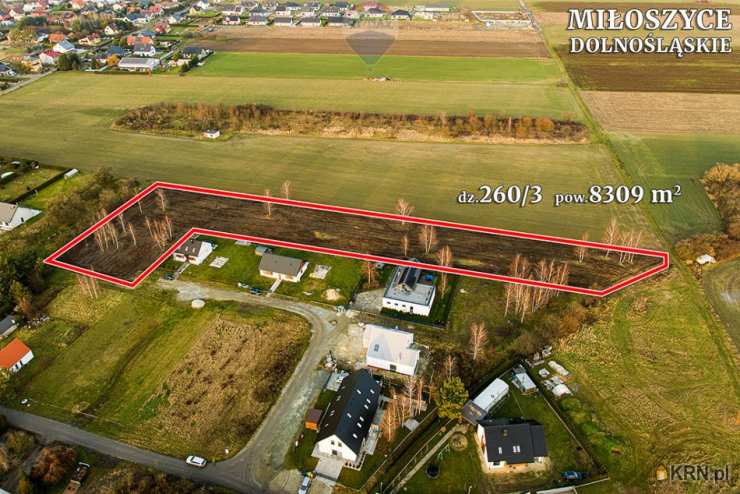 , Działki  na sprzedaż, Miłoszyce, ul. 