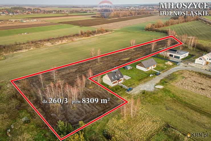 RE/MAX Polska, Działki  na sprzedaż, Miłoszyce, ul. 