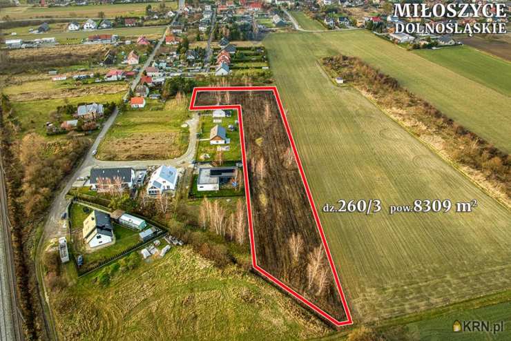 Działki  na sprzedaż, , Miłoszyce, ul. 