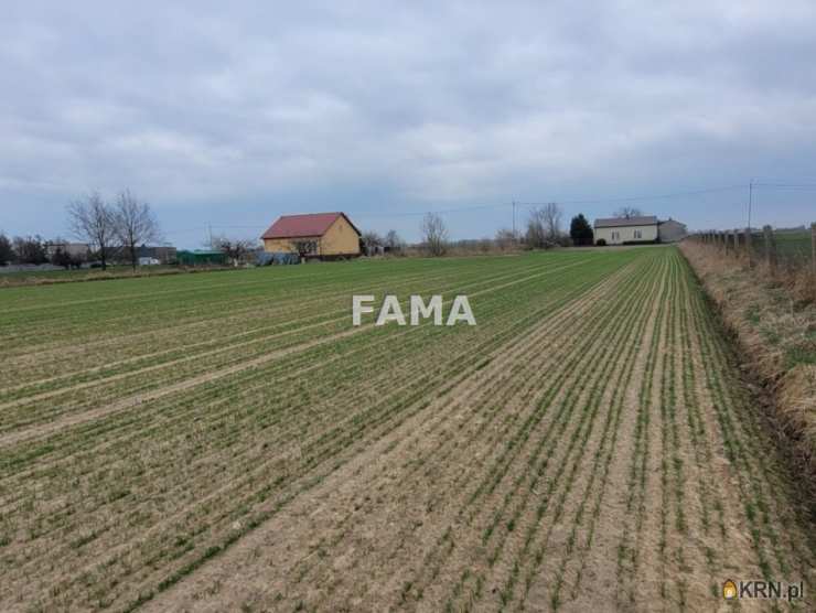 Kowal, ul. Kopernika, , Działki  na sprzedaż