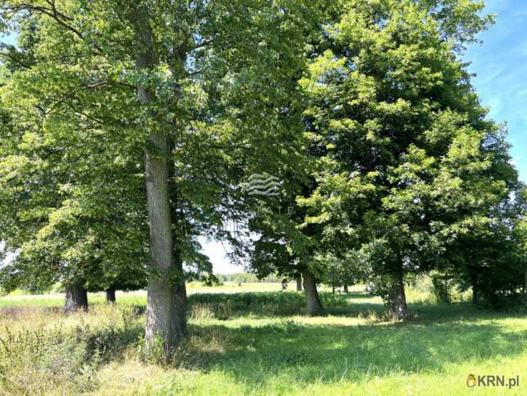 , Działki  na sprzedaż, Skarpa, ul. 