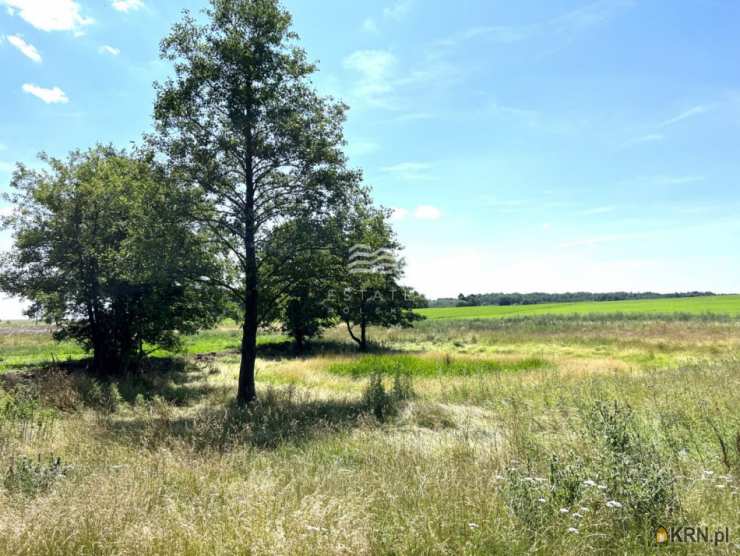 Estate Polska Sp. z o.o., Działki  na sprzedaż, Skarpa, ul. 