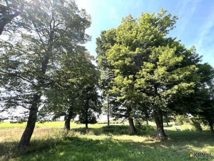 Działki  na sprzedaż, Skarpa, ul. , 