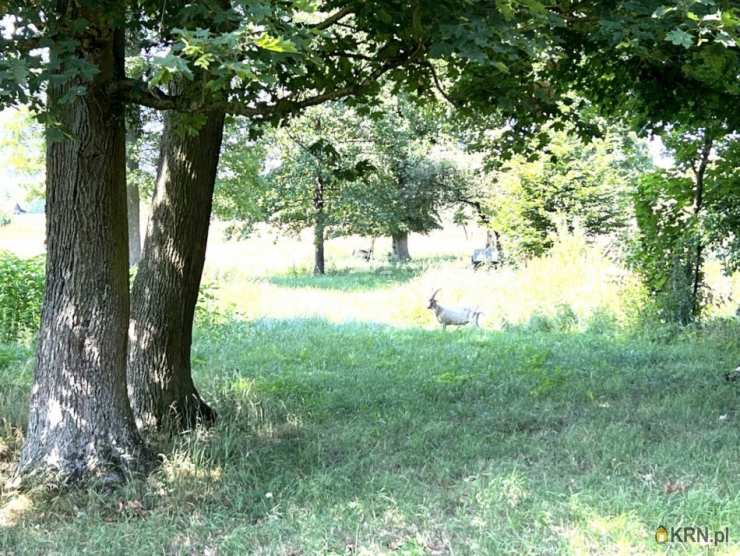 Działki  na sprzedaż, , Skarpa, ul. 