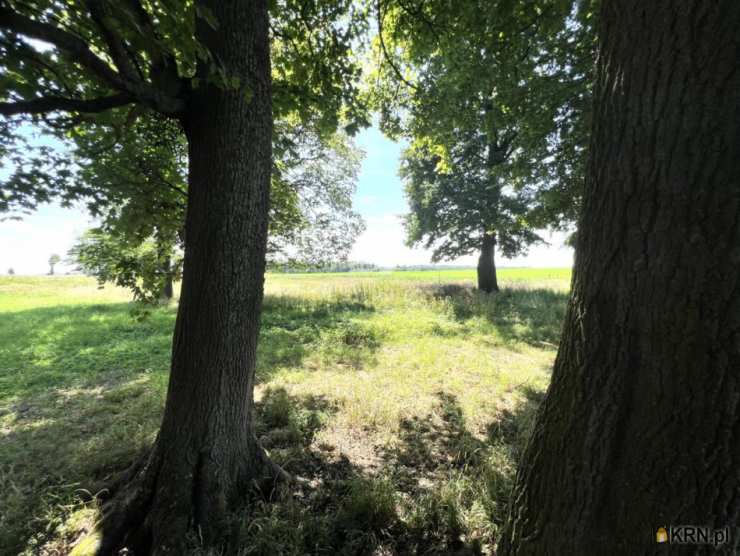 Skarpa, ul. , Działki  na sprzedaż, 