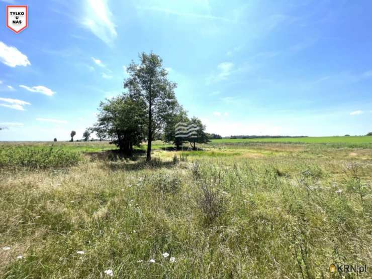 Estate Polska Sp. z o.o., Działki  na sprzedaż, Skarpa, ul. 