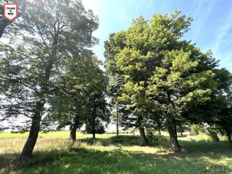 Działki  na sprzedaż, Skarpa, ul. , 