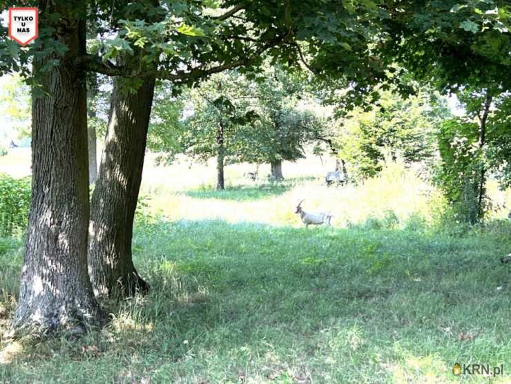 Działki  na sprzedaż, , Skarpa, ul. 