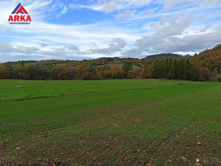 Działki  na sprzedaż, Jodłownik, ul. , 