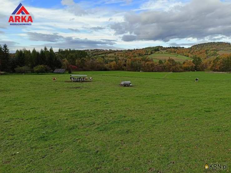 Działki  na sprzedaż, , Jodłownik, ul. 