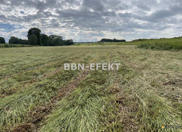 Działki  na sprzedaż, Międzyrzecze Dolne, ul. , 