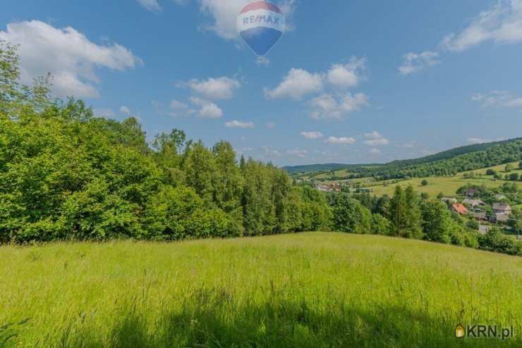 RE/MAX Polska, Działki  na sprzedaż, Rzyki, ul. 