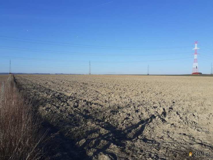 Działki  na sprzedaż, Szewce, ul. , 