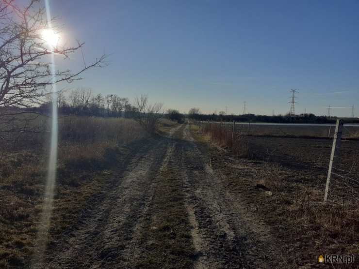 Działki  na sprzedaż, , Szewce, ul. 