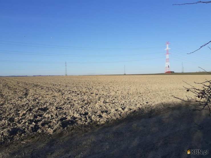 Szewce, ul. , Działki  na sprzedaż, 