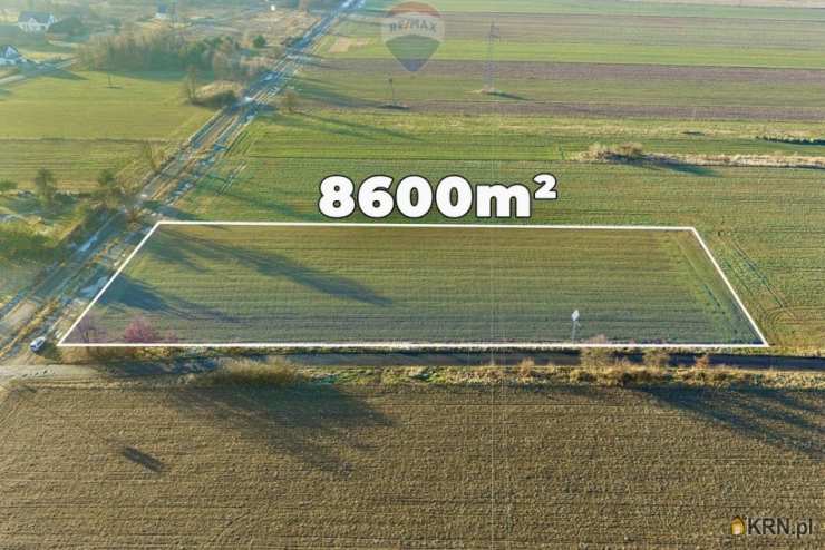 Chocianowiec, ul. , Działki  na sprzedaż, 