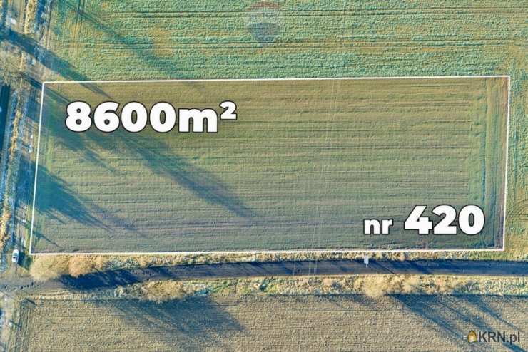 Chocianowiec, ul. , , Działki  na sprzedaż