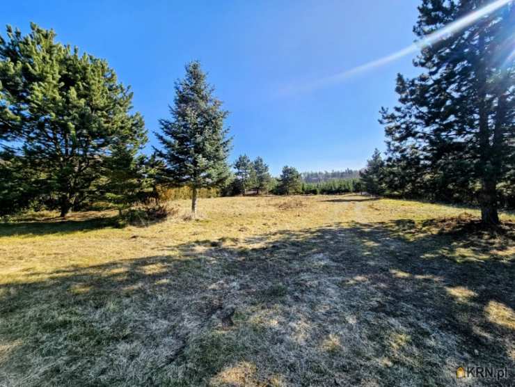 Działki  na sprzedaż, Osuchów, ul. Leśna, 