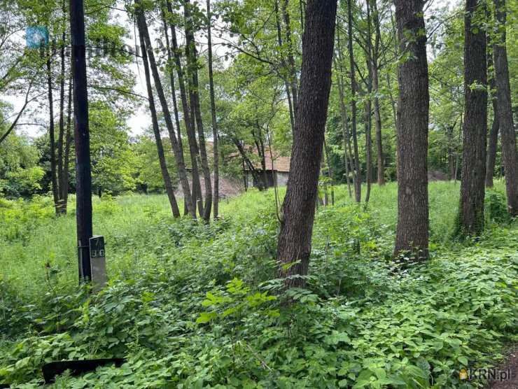 Działki  na sprzedaż, Regulice, ul. , 