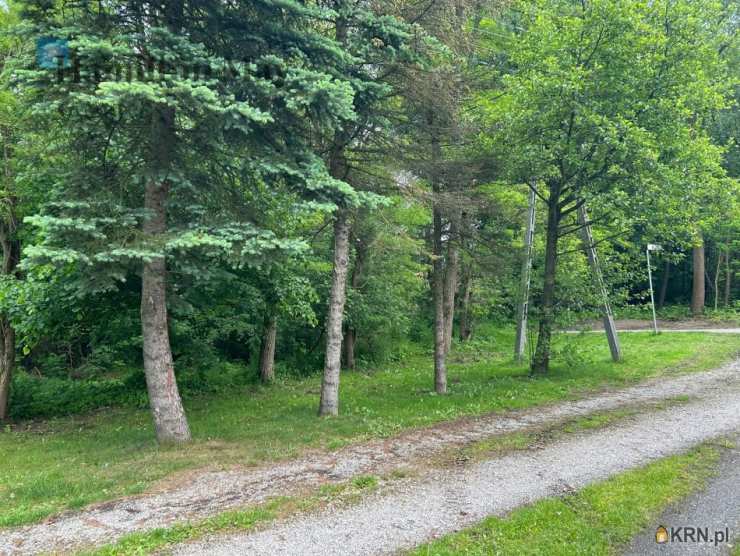 Działki  na sprzedaż, Regulice, ul. , 