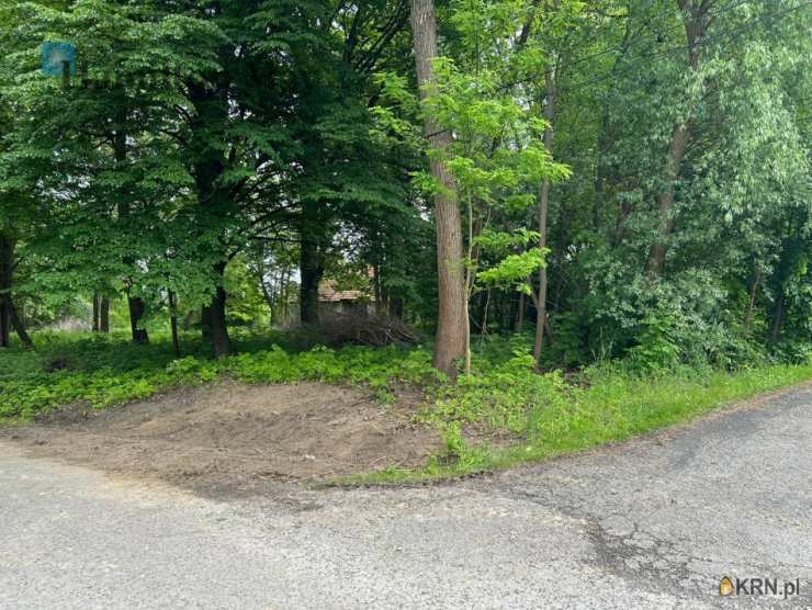 Działki  na sprzedaż, , Regulice, ul. 